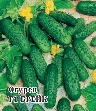 Przerwa na ogórki