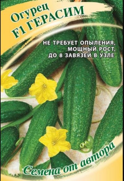 Ogórek Gerasim