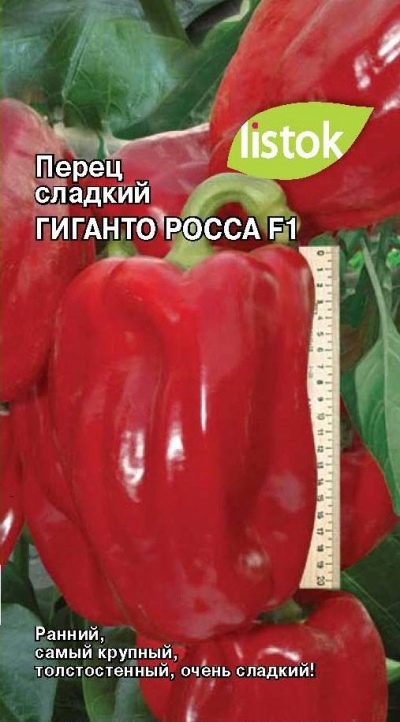 Papryka Giganto Ross