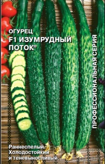 Ogórek Szmaragdowy Strumień