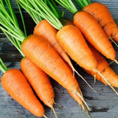 Marchew Carotel