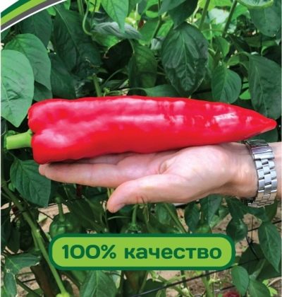 Papryka Lasanta