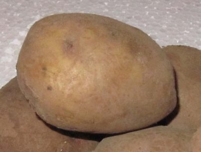 Ziemniaki Ługowskie