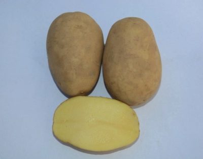 Ziemniaki Mastak