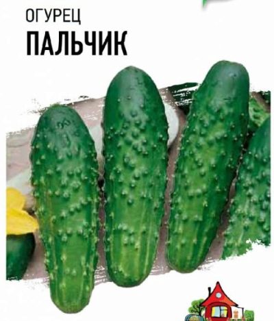 Palec Ogórka