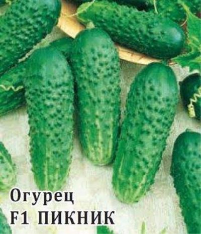 Piknik Ogórkowy