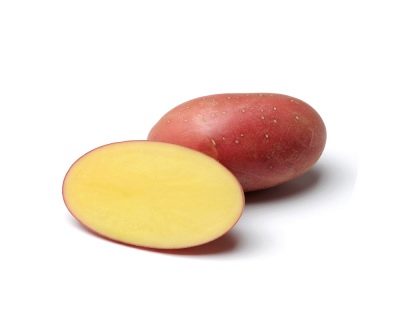 Ziemniaki Czerwona Sonia