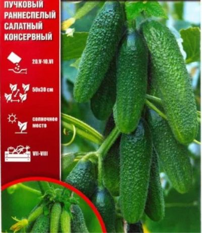 Ogórkowa Zielona Girlanda