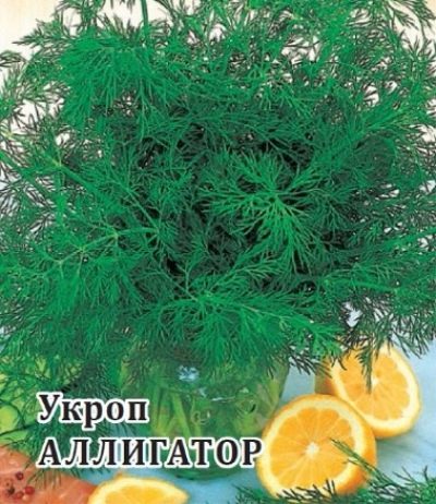 Aligator koperkowy