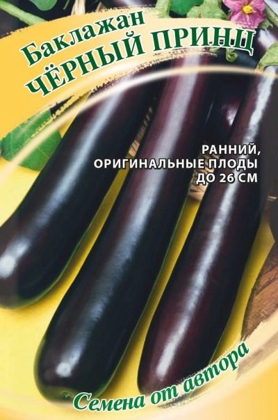 Czarny Książę Bakłażan