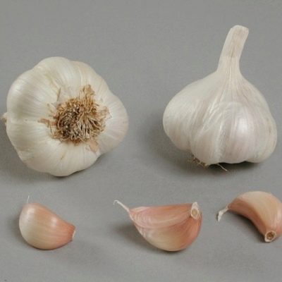 Smak Czosnkowy
