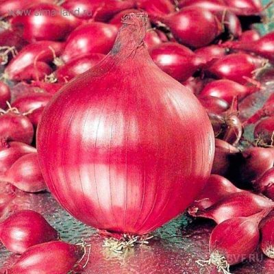 Łuk czerwonego promienia
