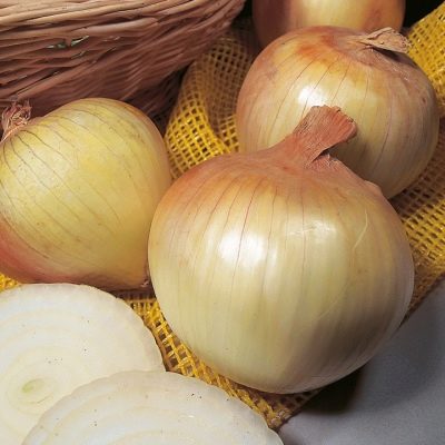Żółta kula z łuku Senshui
