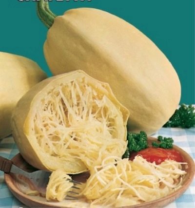 Spaghetti dyniowe