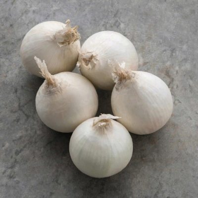 Łuk Gwiezdny Pył