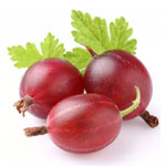 Odmiany agrestu