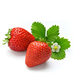 Odmiany truskawek (truskawek)